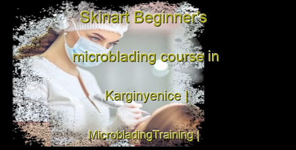 Skinart Beginner's microblading course in Karginyenice | MicrobladingTraining | MicrobladingClasses | SkinartTraining-Turkey